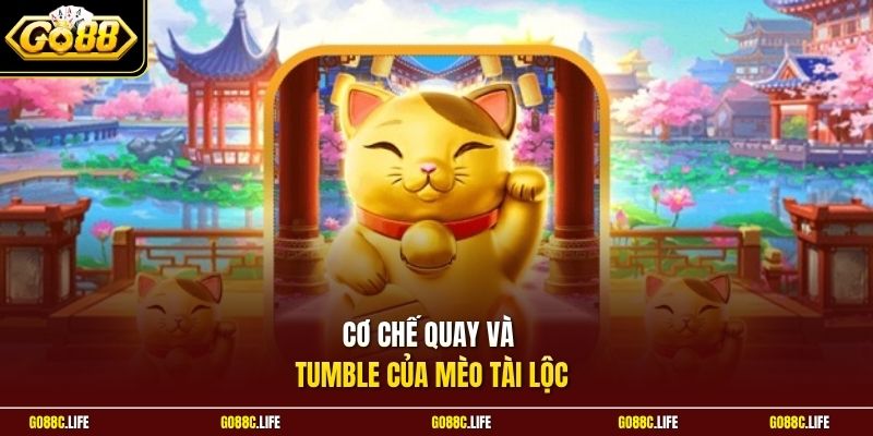 Cơ chế quay và Tumble của Mèo Tài Lộc