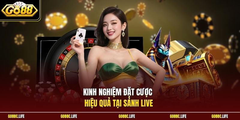 Kinh nghiệm đặt cược hiệu quả tại sảnh live